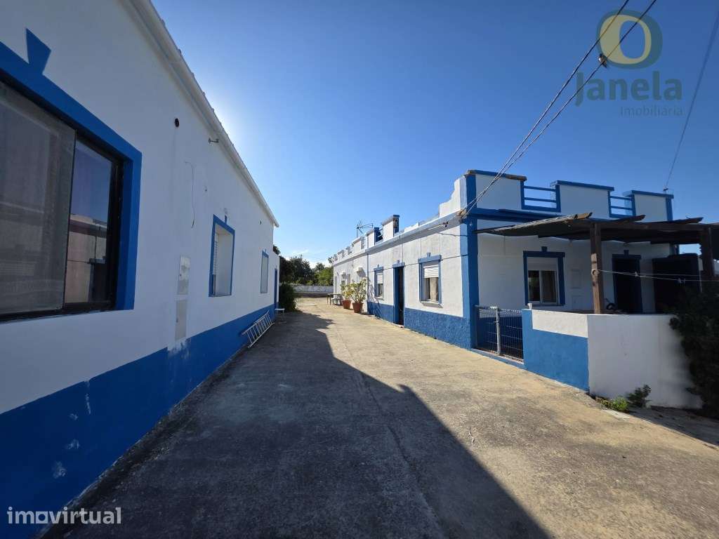 Quinta com 11800 m2, com 3 habitações e diversa cultura - Grande imagem: 3/13
