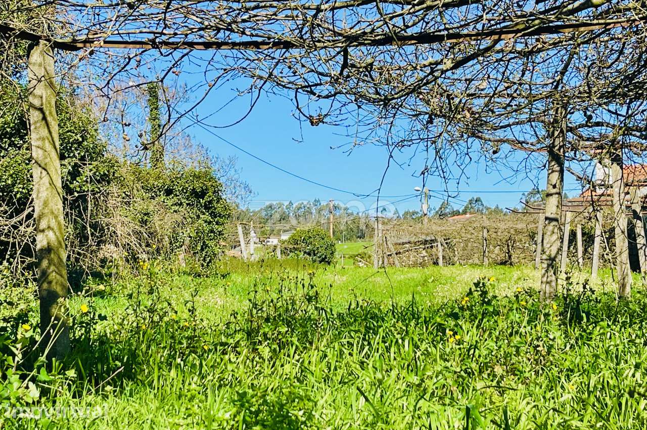 Terreno Agrícola Gondifelos - Grande imagem: 4/11