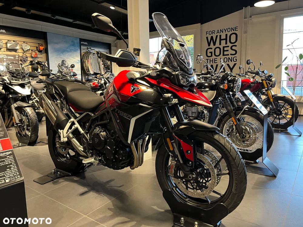 Triumph Tiger - 4