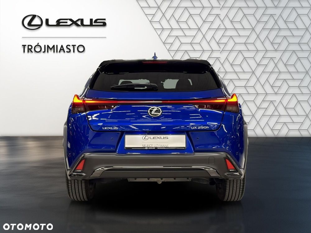 Lexus UX 250h GPF F Sport Design 2WD - 5