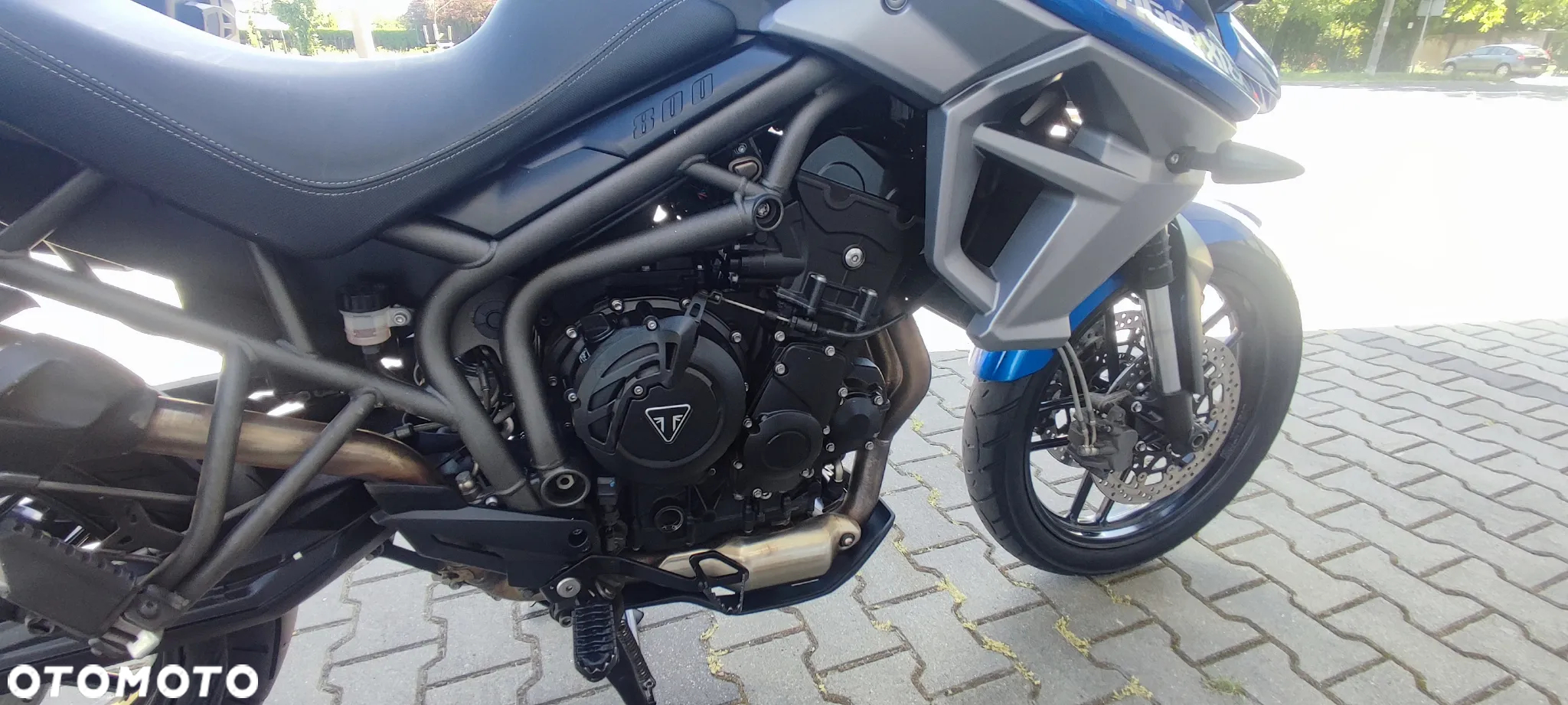 Triumph Tiger - 13