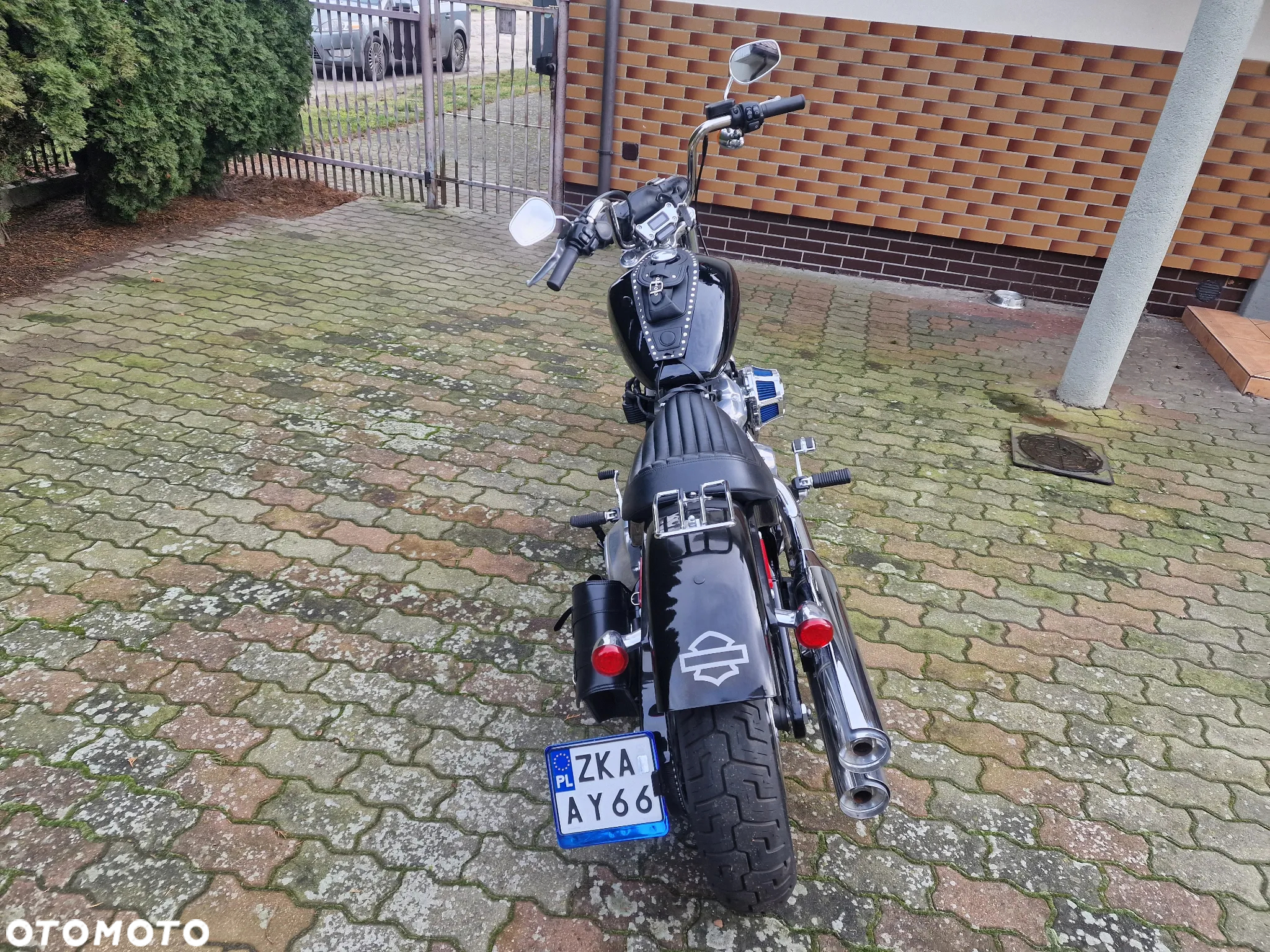 Harley-Davidson Softail - 2