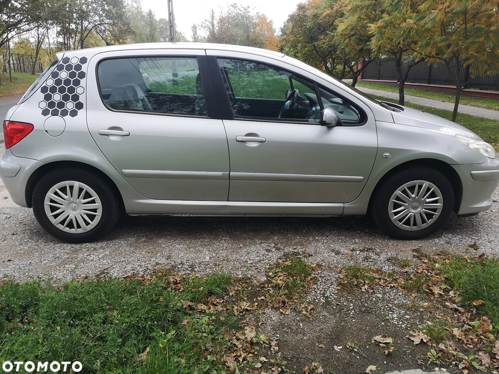 Peugeot 307 - 8