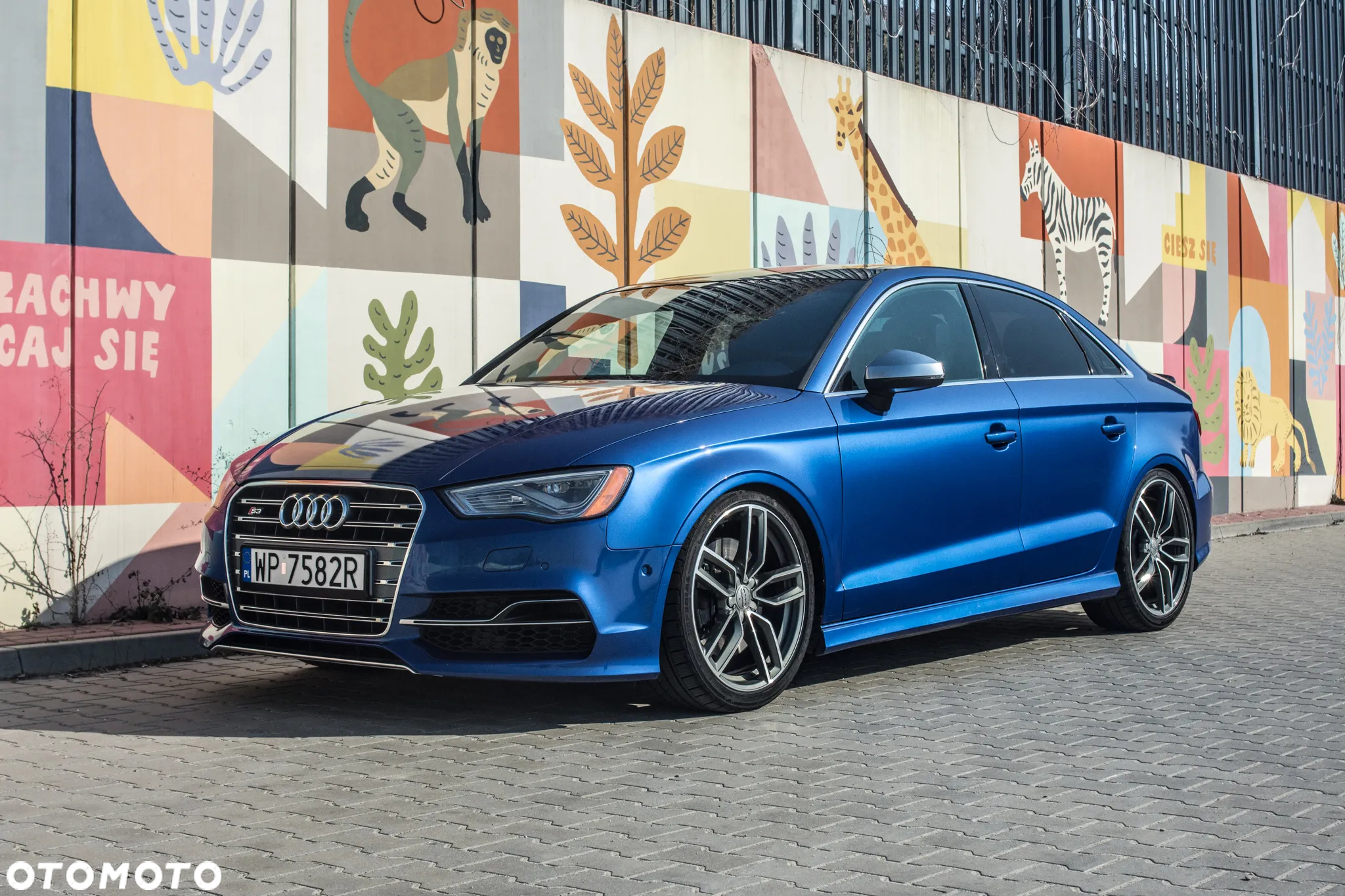 Audi S3 2.0 TFSI Quattro S tronic - 30