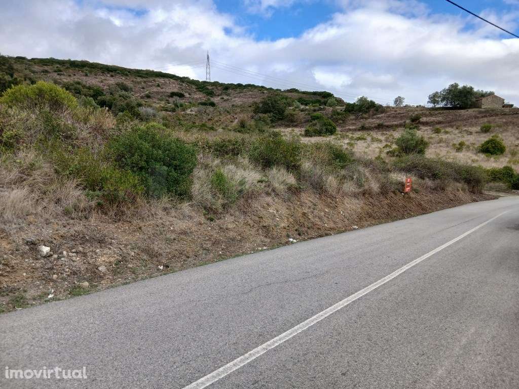 Terreno Rústico de 12000 m² para venda em Alcobela de Baixo. - Grande imagem: 4/14