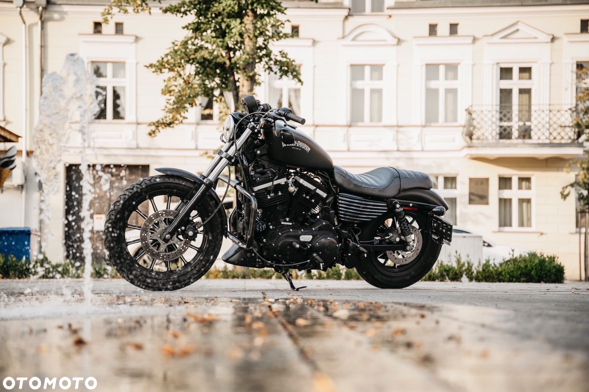 Harley-Davidson Sportster Iron 883 - 1