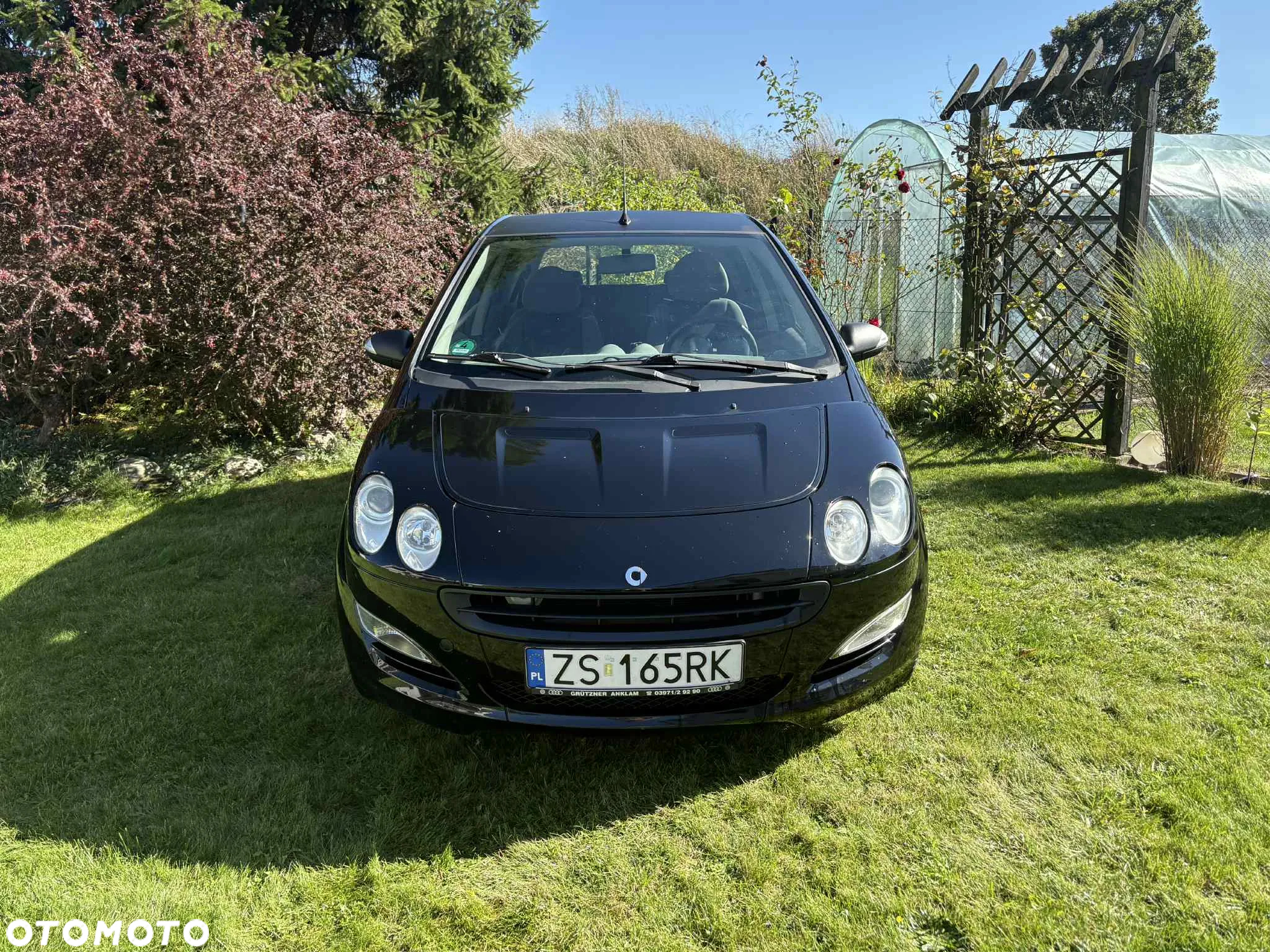 Smart Forfour pure - 2