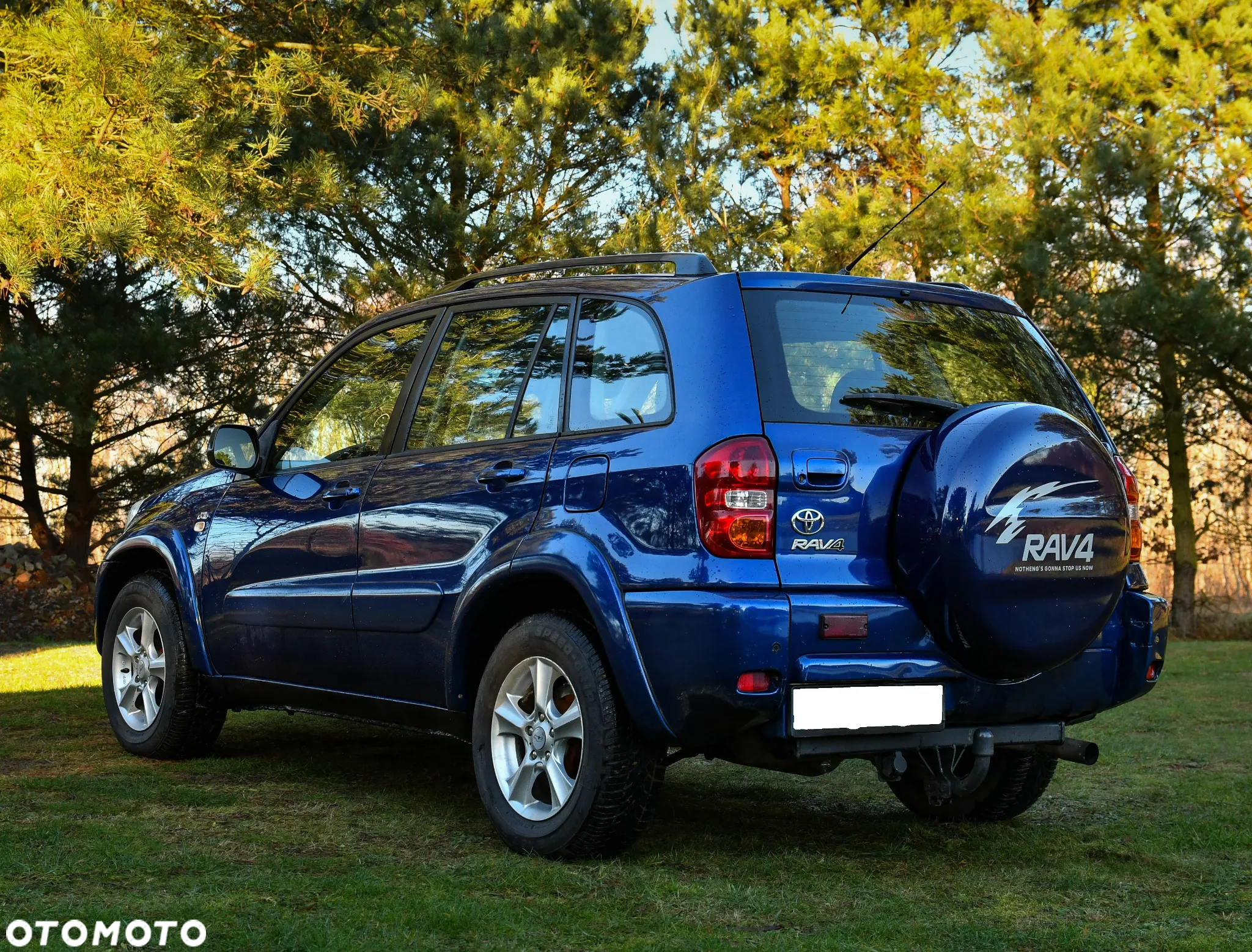 Toyota RAV4 2.0 D-4D 4x4 - 7