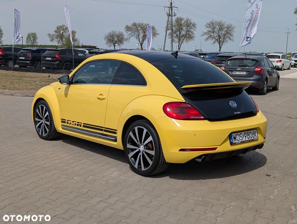 Volkswagen Beetle - 10
