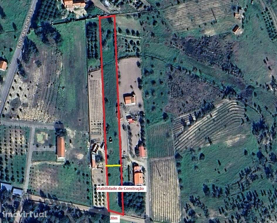 Fazenda 5000m2 de Terreno em Foros Vale Verde – Coruche - Grande imagem: 3/3