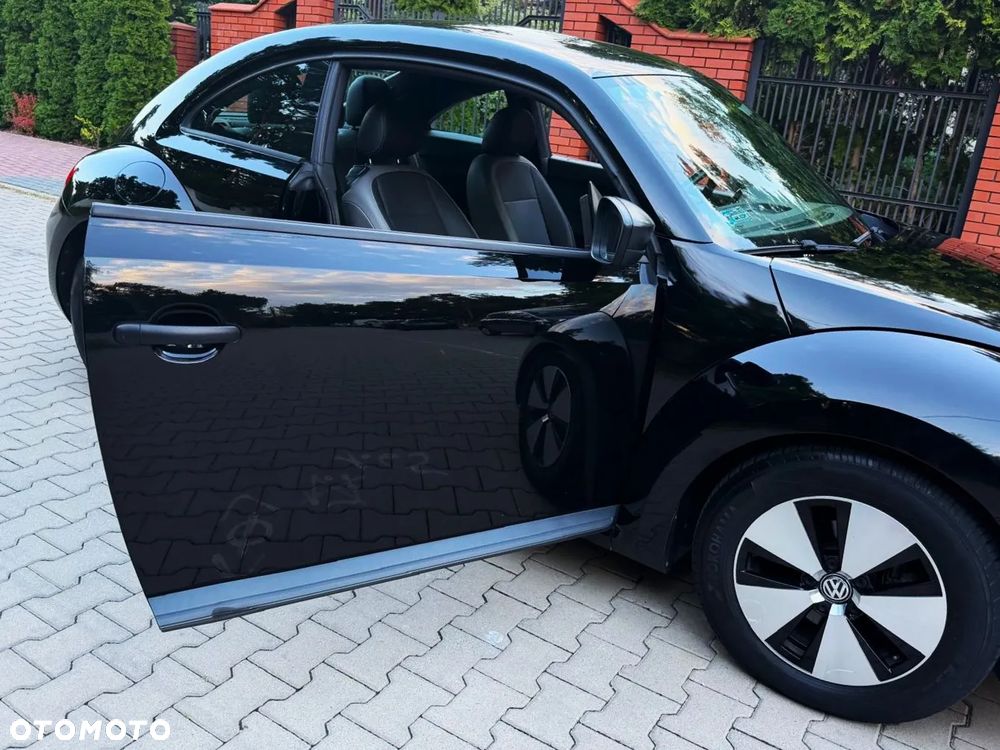 Volkswagen Beetle - 22
