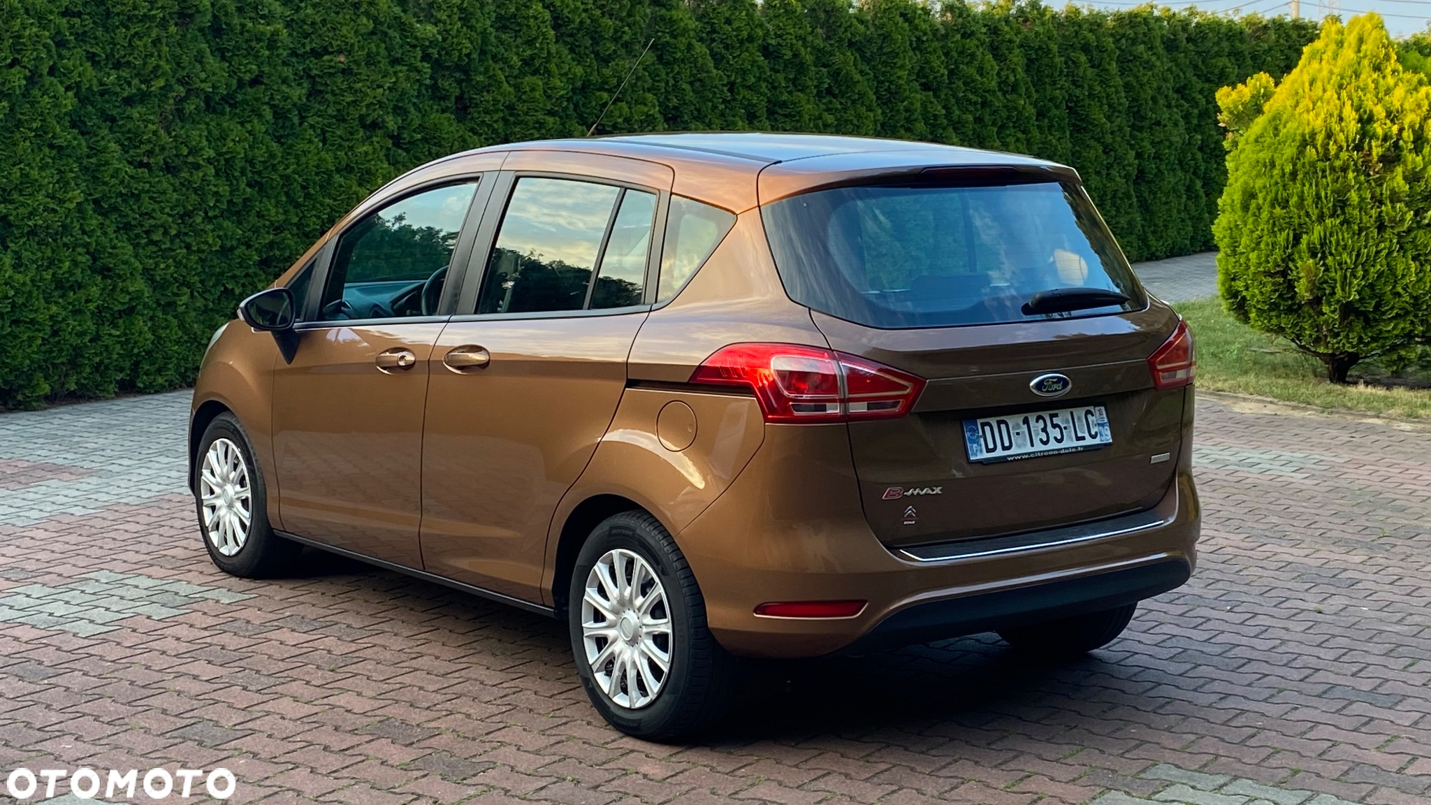 Ford B-MAX 1.0 EcoBoost SYNC Edition - 6