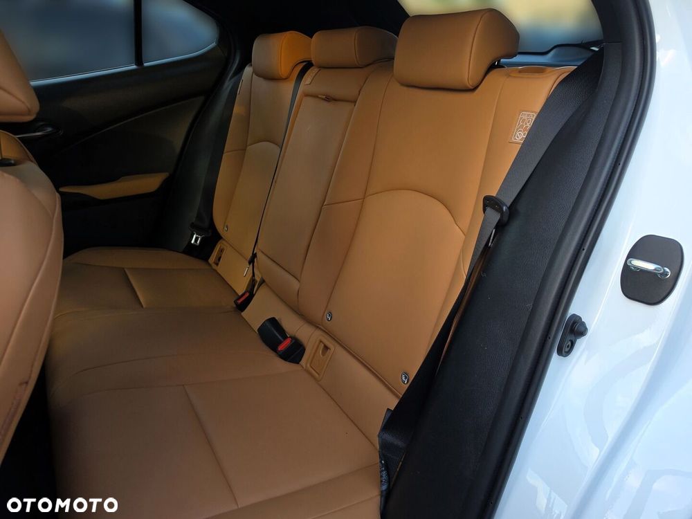 Lexus UX 250h GPF F Sport Design+ 2WD - 15