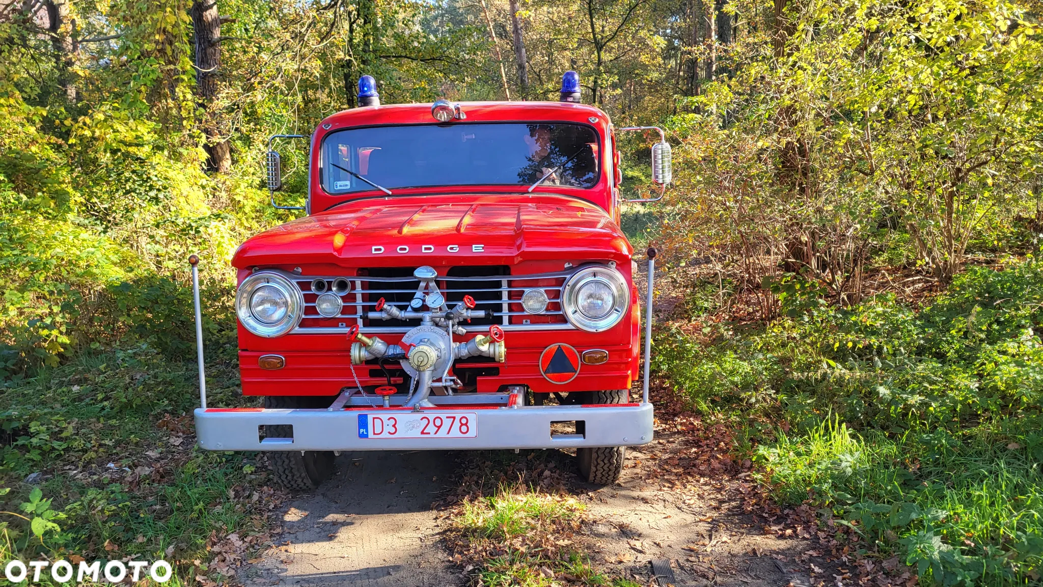 Inny DODGE D500 - 19