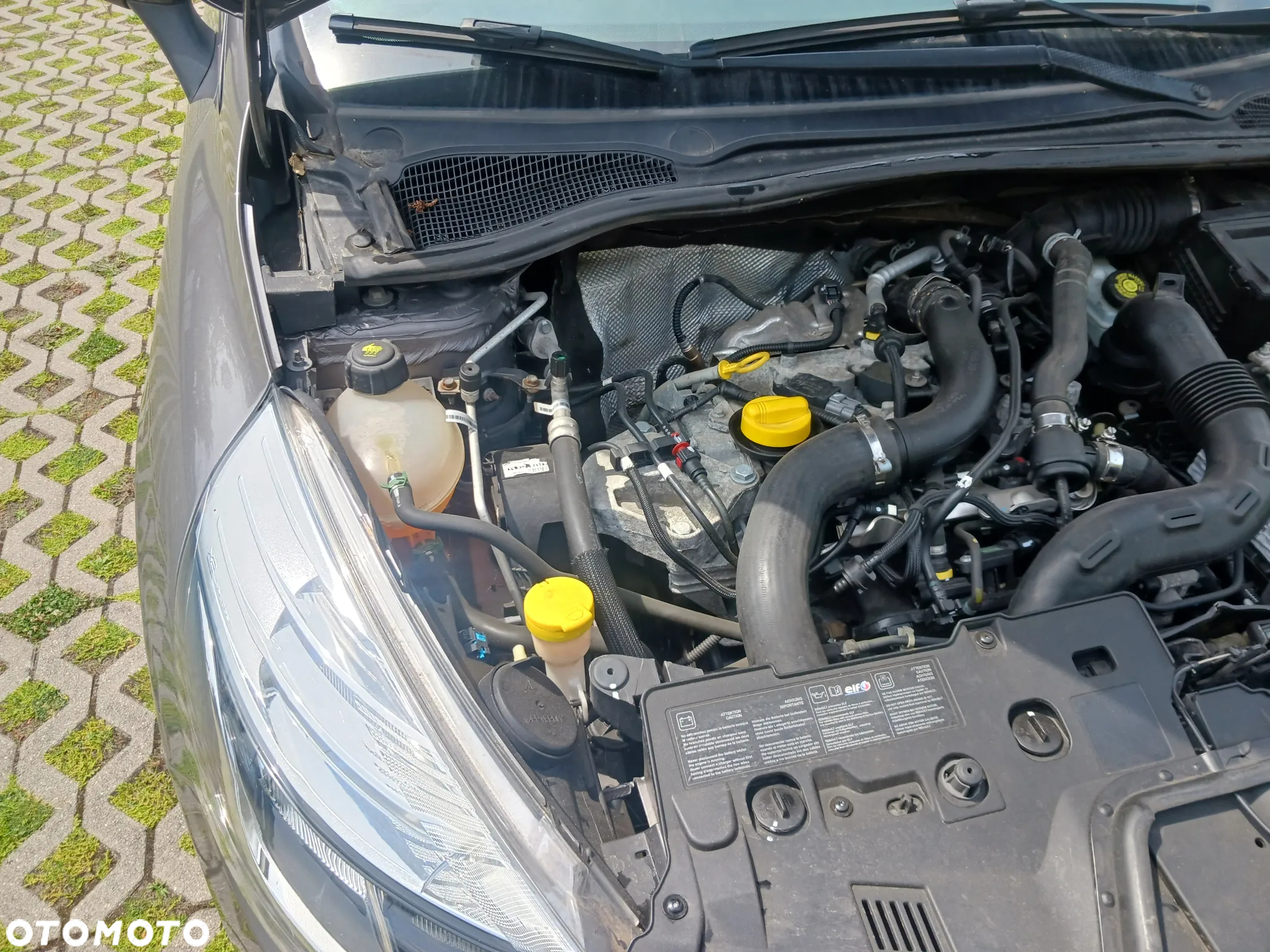 Renault Clio - 25