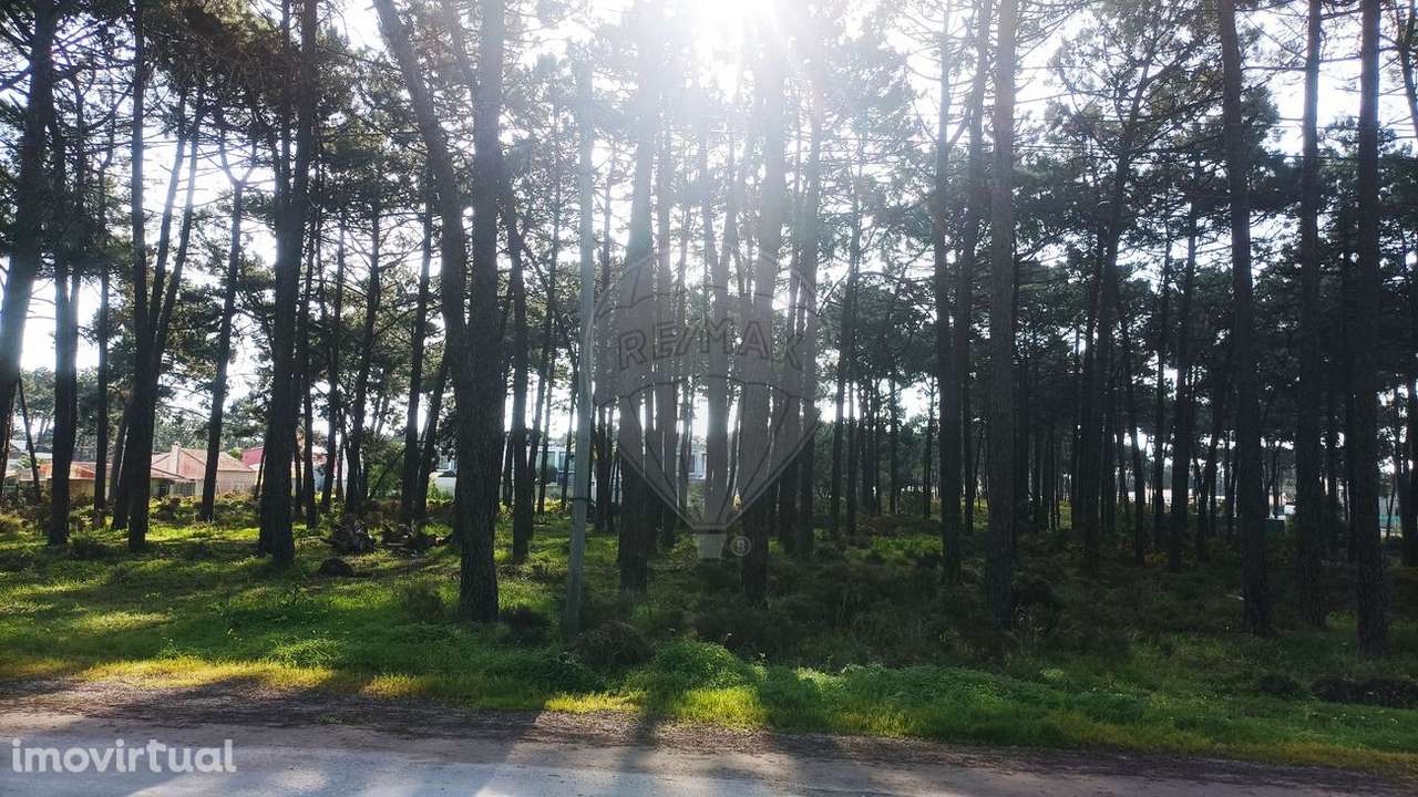 Terreno  para venda - Grande imagem: 4/10