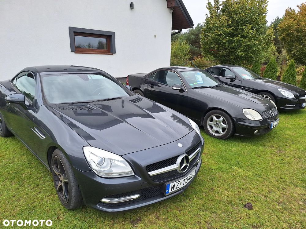 Mercedes-Benz SLK 200 (BlueEFFICIENCY) - 18