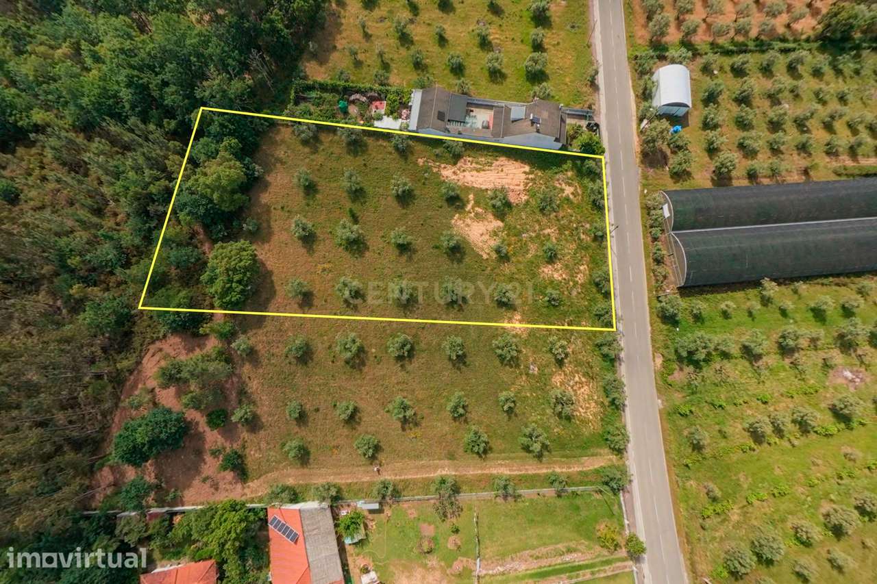Terreno Urbano em Arganil - 4262m² por 85.000€ - Grande imagem: 3/13
