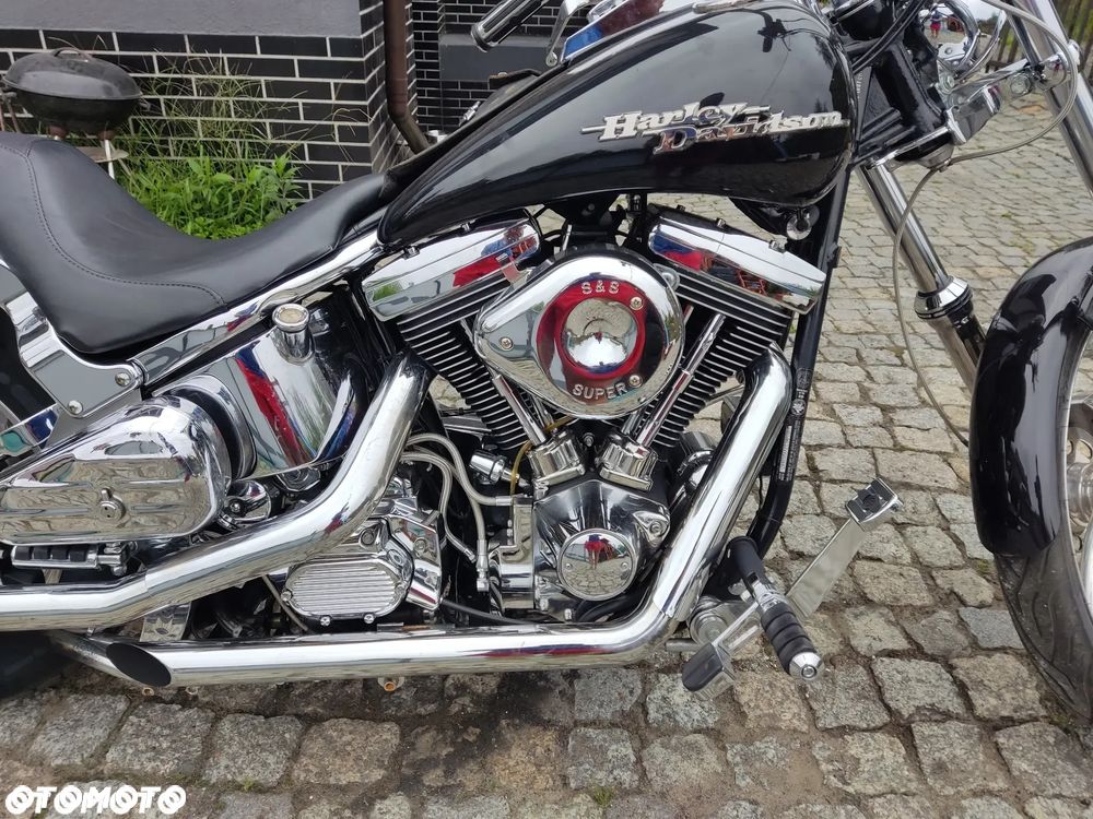 Harley-Davidson Softail Custom - 8