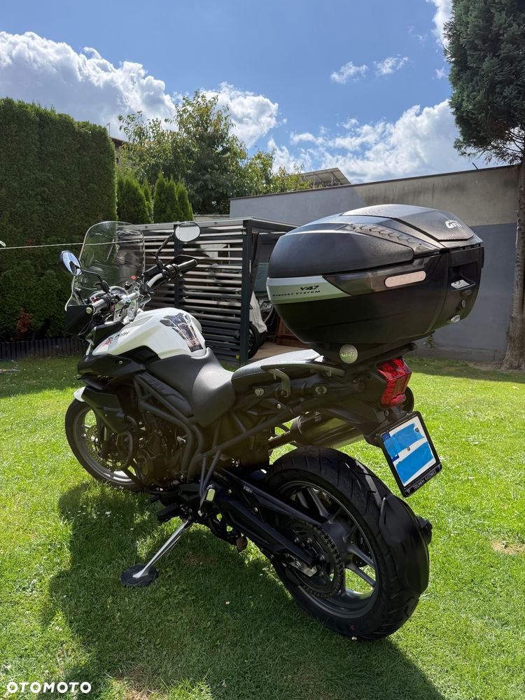 Triumph Tiger - 7