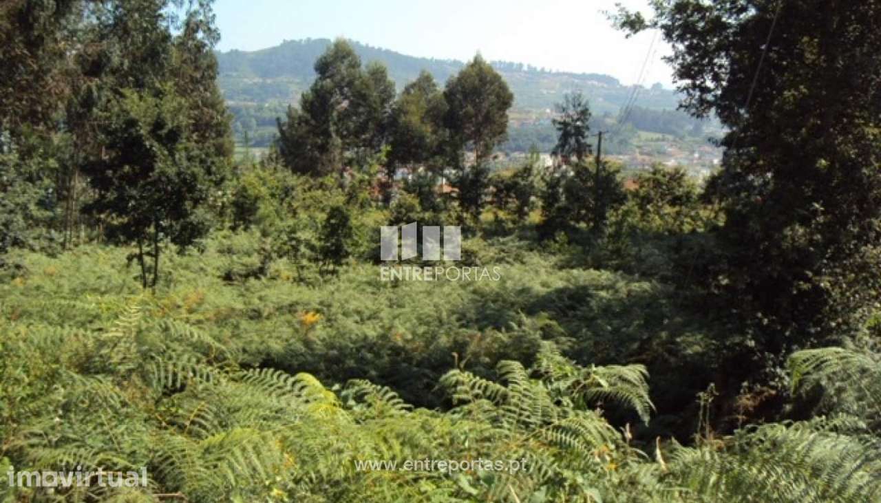 Venda Terreno, Airães, Felgueiras - Grande imagem: 4/11