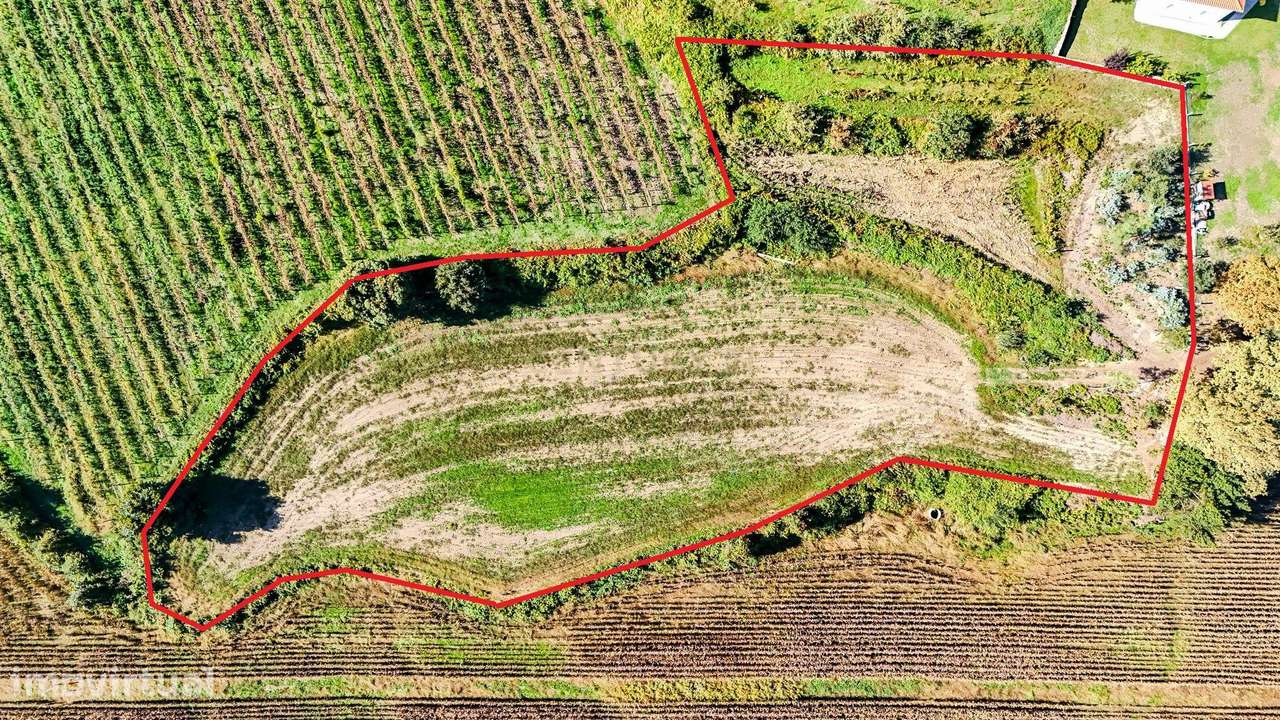 Terreno com Vista Panorâmica em Midões, Barcelos - Grande imagem: 4/14