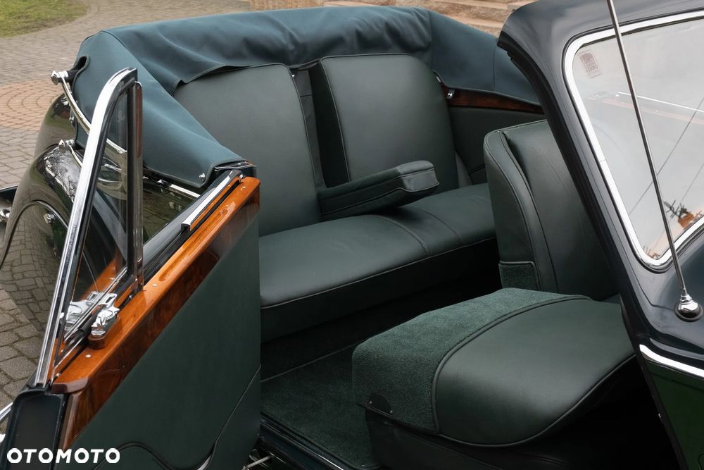 Jaguar Inny - 21