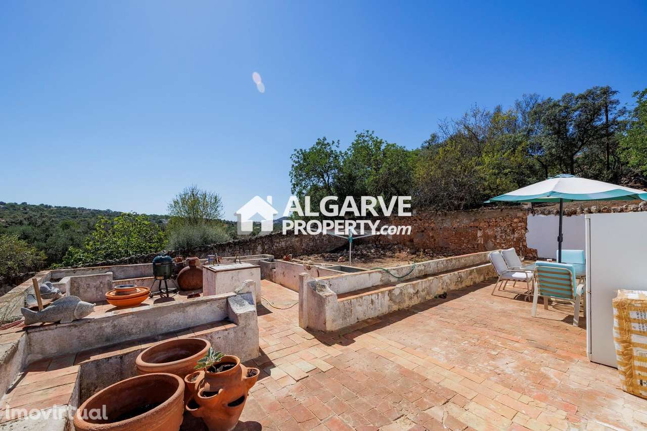 Charmosa Quinta T3 com Anexos e 3 Hectares de Terreno em Santa Bárbara - Grande imagem: 2/31