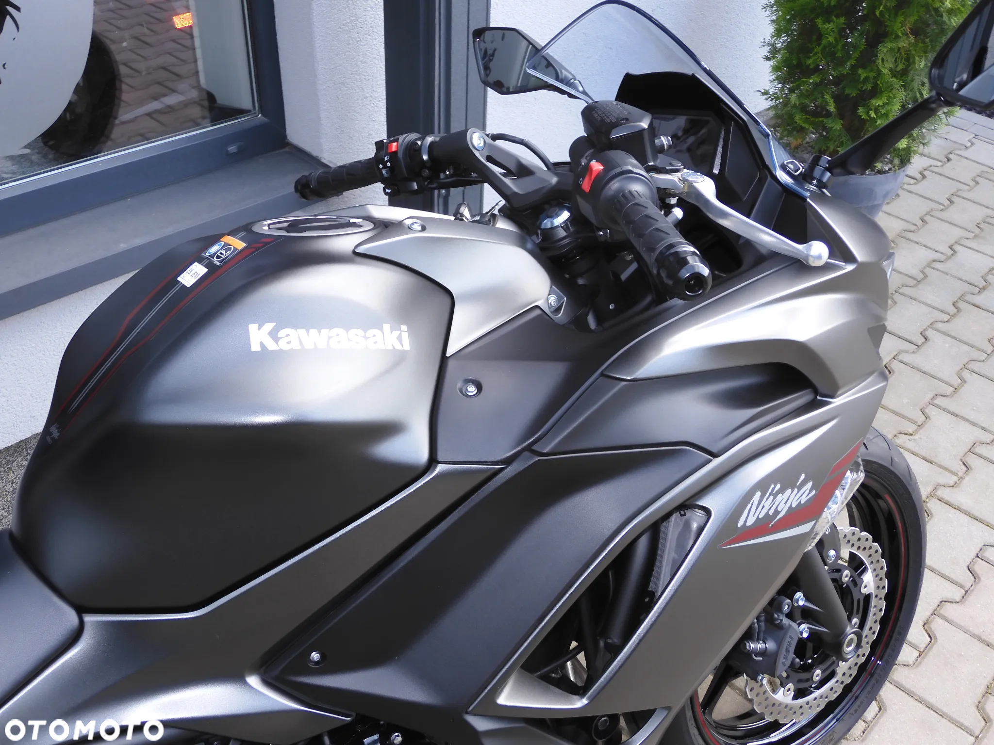 Kawasaki Ninja - 10