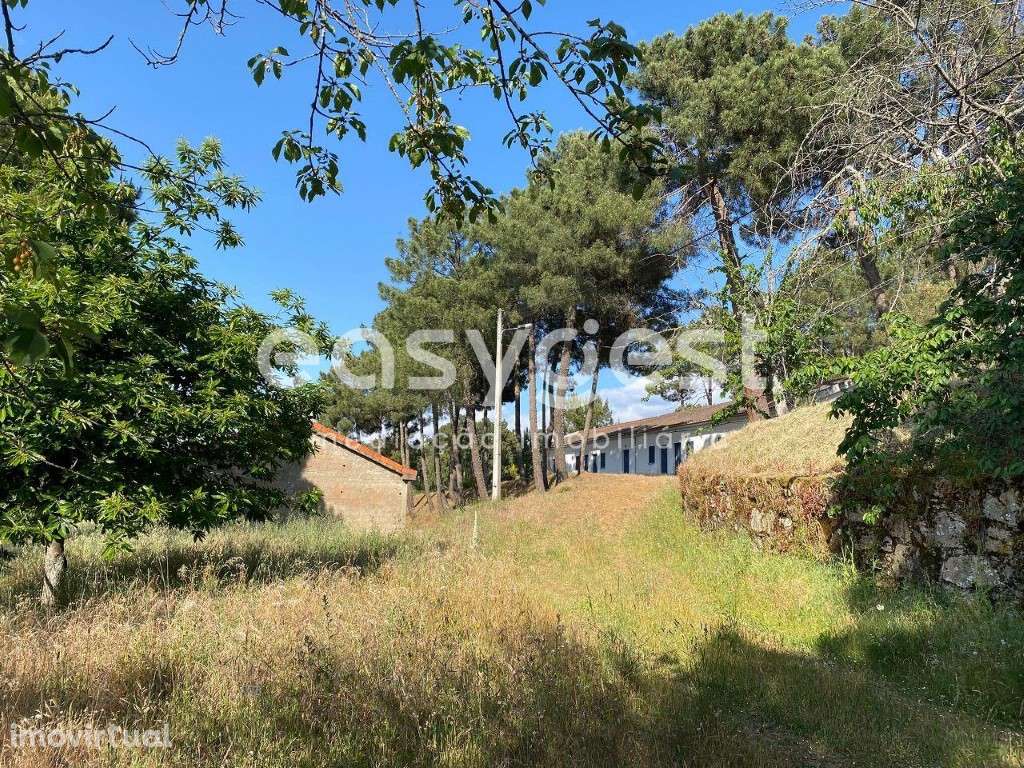 Magnifica Quintinha situada no coração do douro ideal para turismo - Grande imagem: 4/18