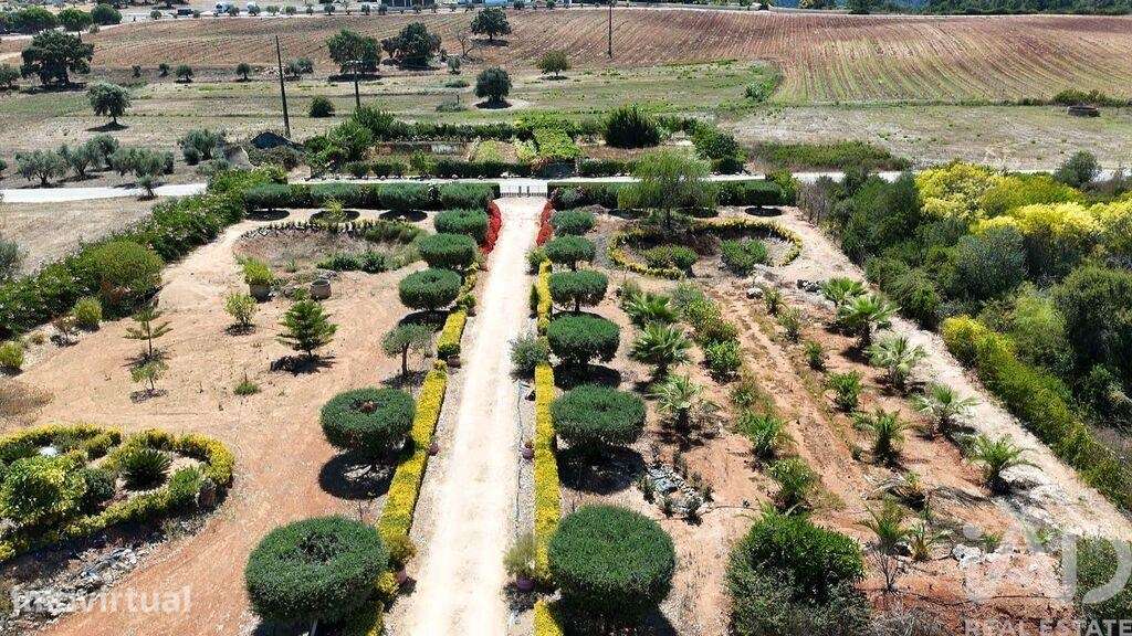 Terreno Agrícola em Azambujeira e Malaqueijo - Grande imagem: 5/40