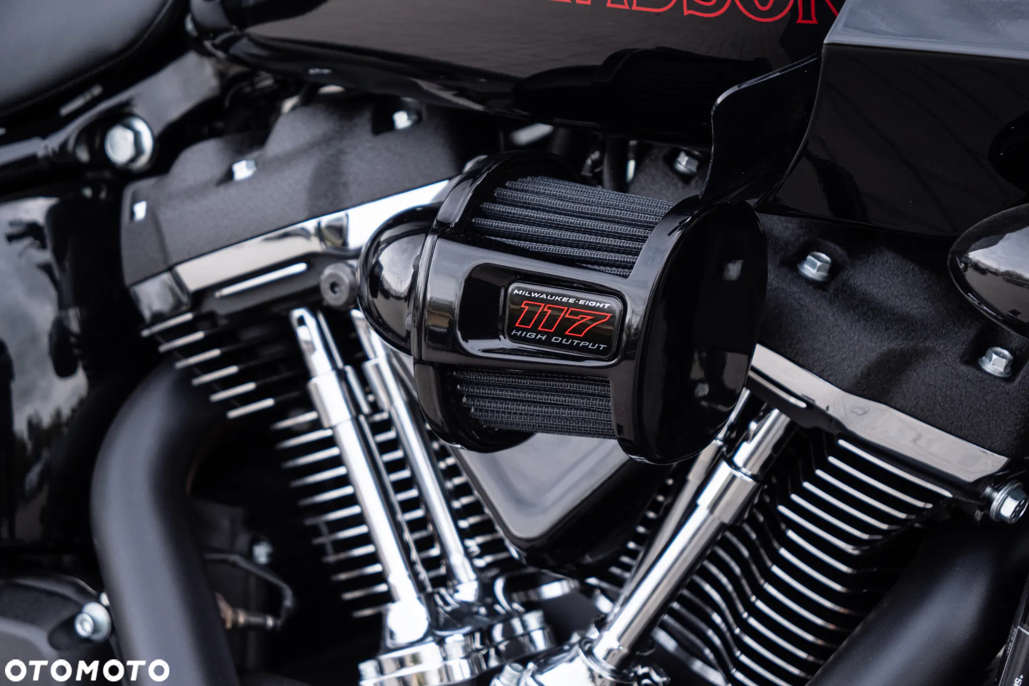 Harley-Davidson Softail Low Rider - 17