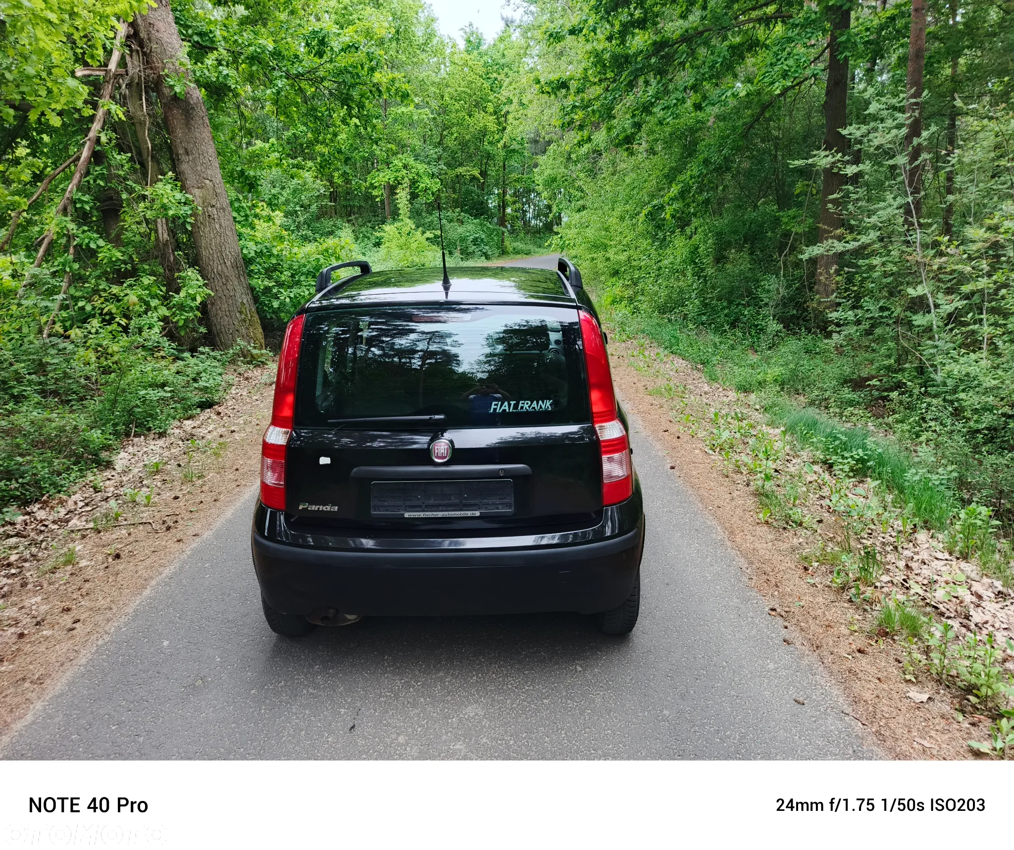 Fiat Panda 1.2 Dynamic Plus - 7