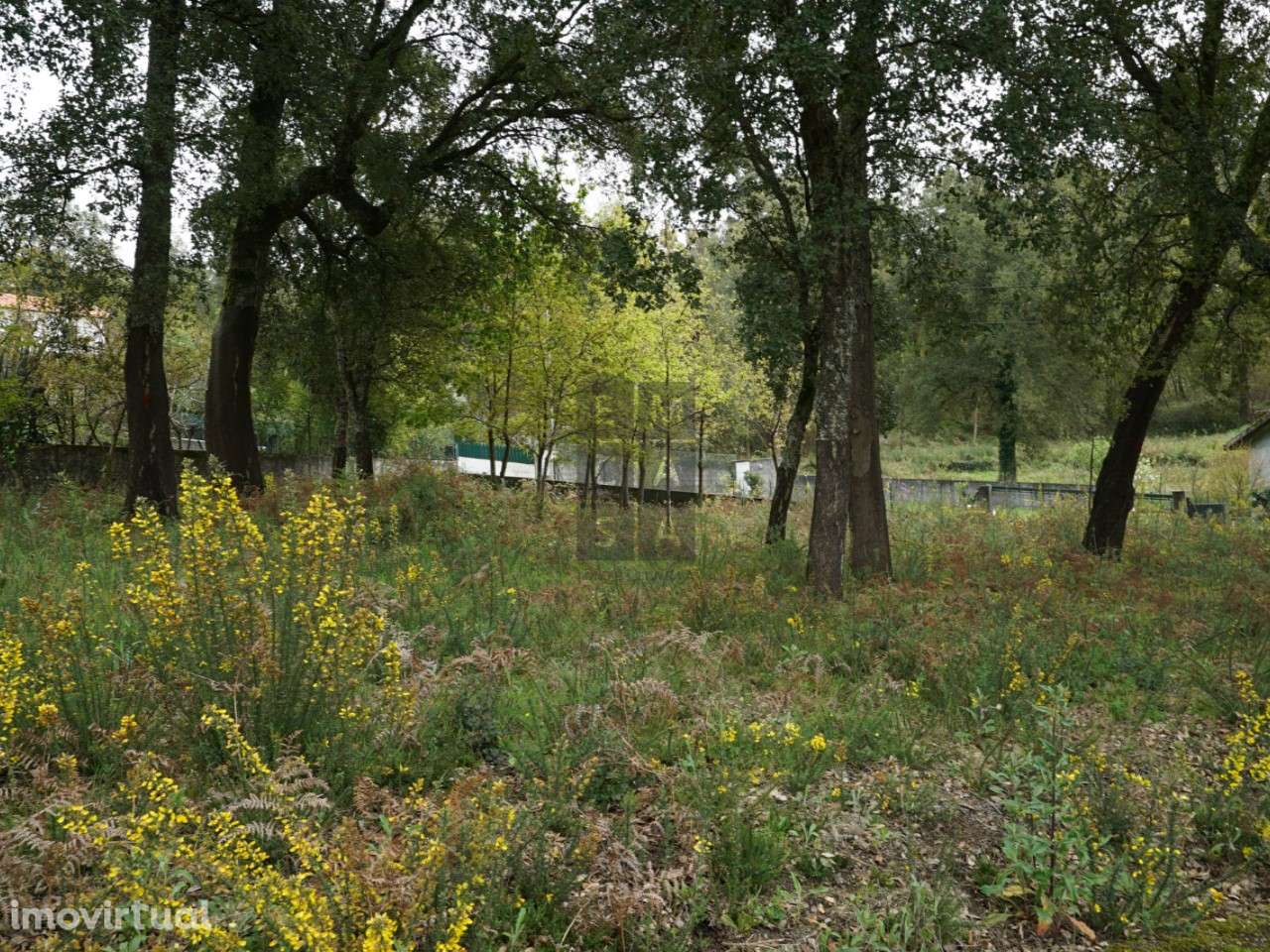 Terreno  Venda em Macieira de Cambra,Vale de Cambra - Grande imagem: 3/19