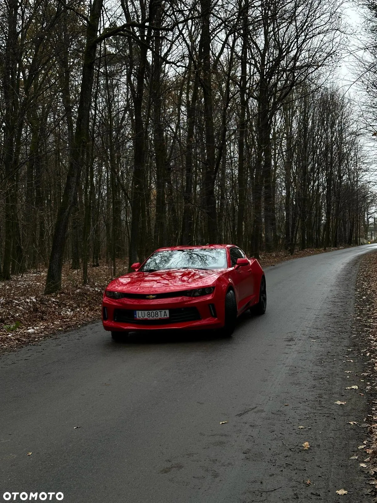 Chevrolet Camaro - 12