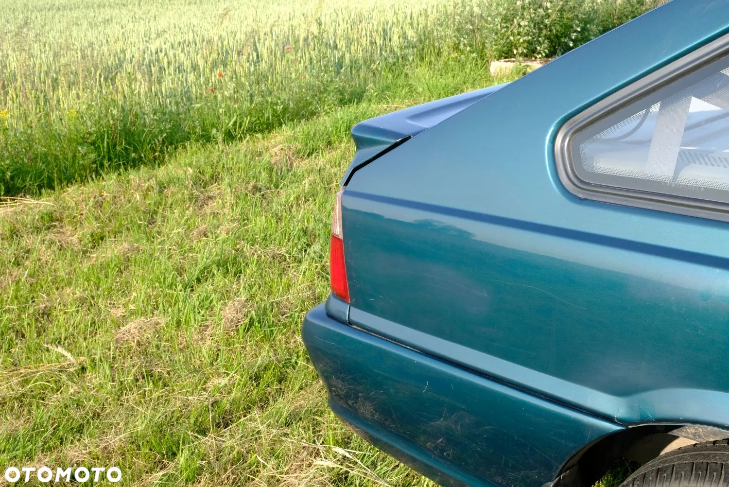 Polonez Caro - 7