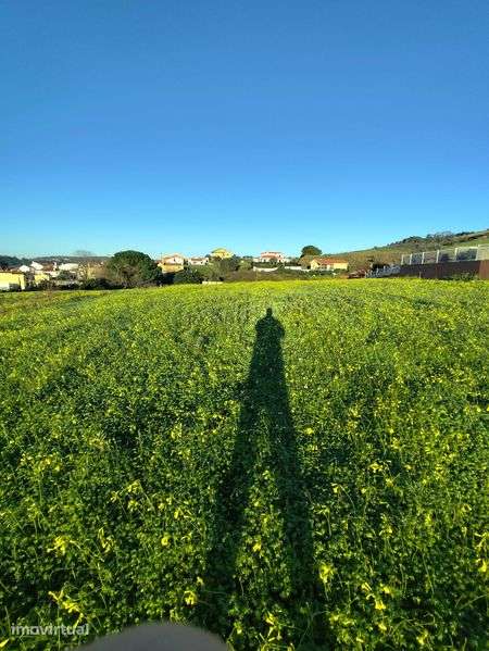 Terreno urbano para construção torres vedras - Grande imagem: 4/10