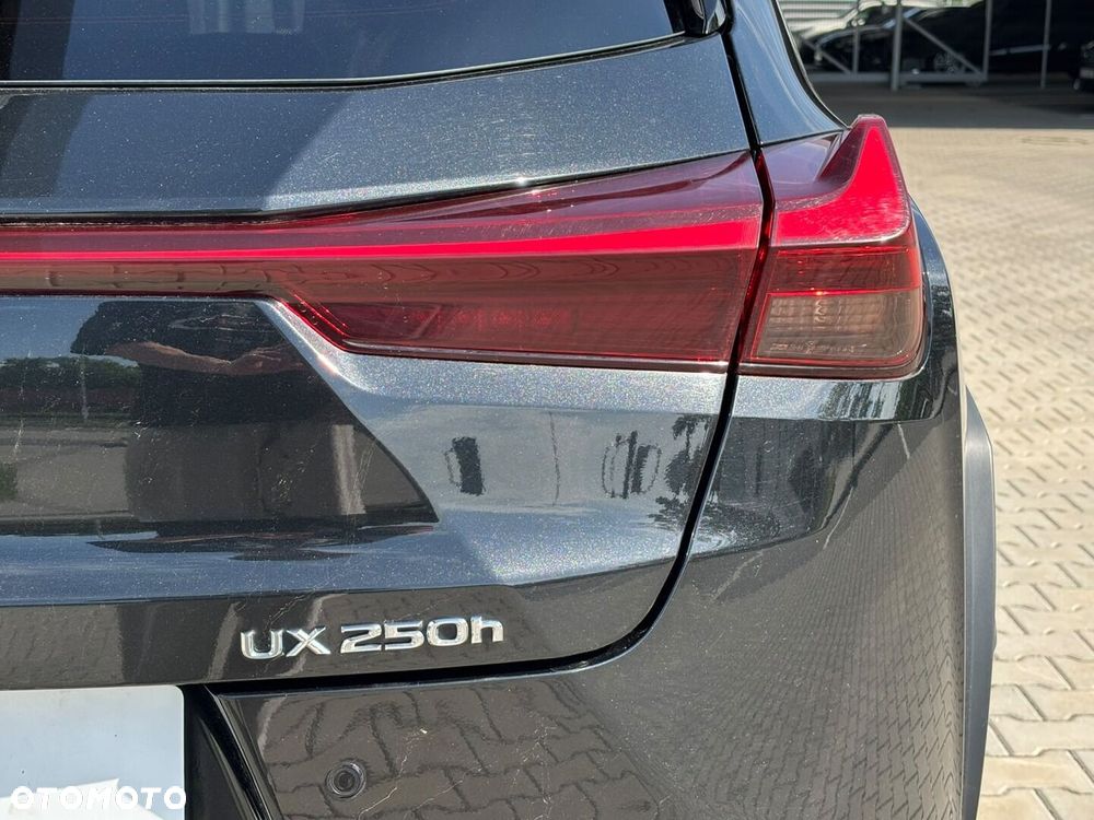 Lexus UX 250h GPF Business 2WD - 35