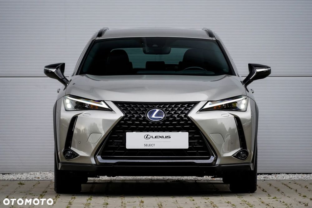 Lexus UX 250h GPF F Impression 2WD - 20