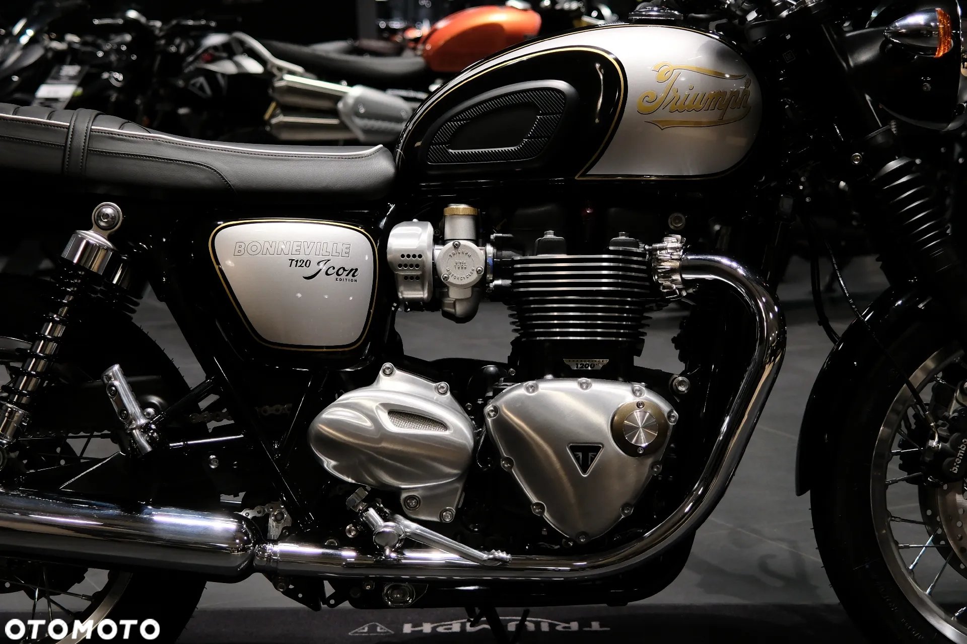 Triumph Bonneville - 7