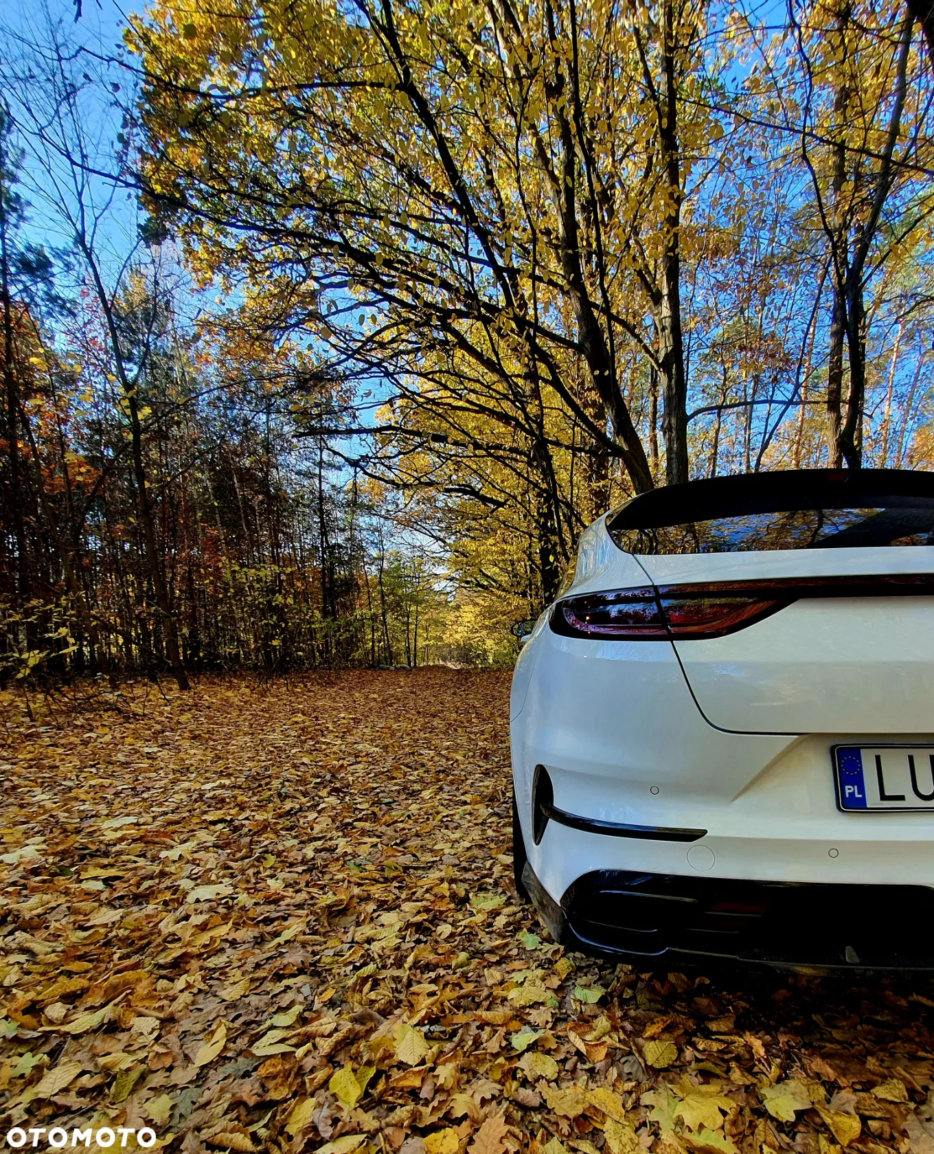 Kia ProCeed 1.6 T-GDI GT DCT - 15