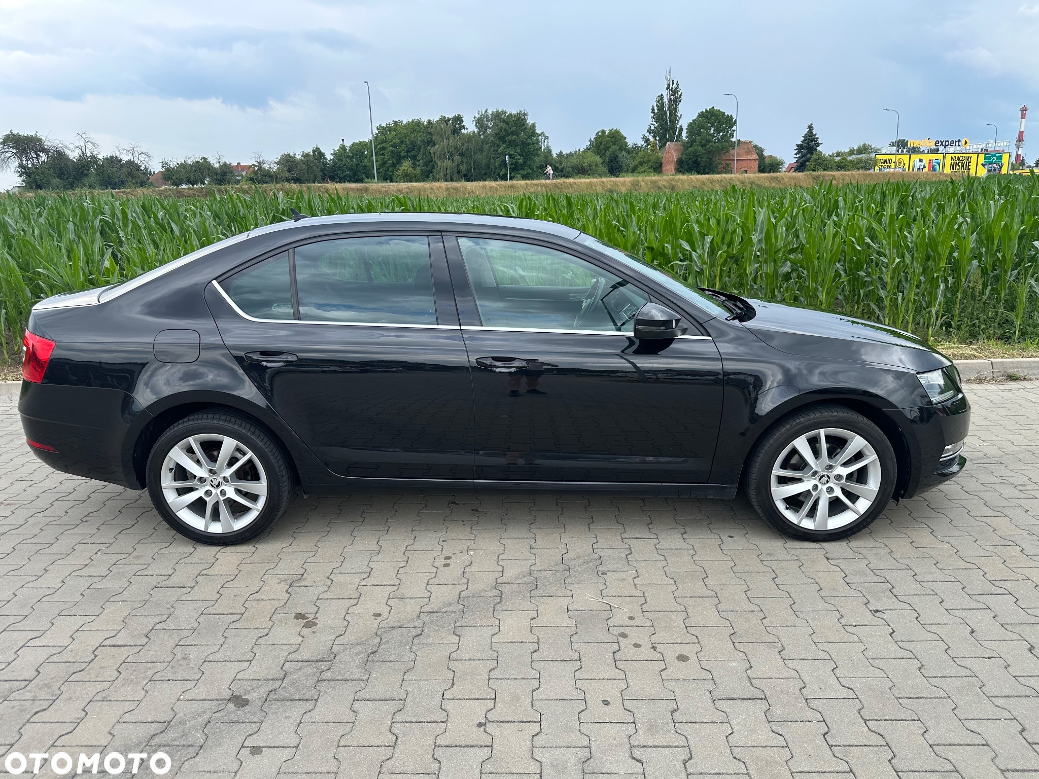 Skoda Octavia - 4