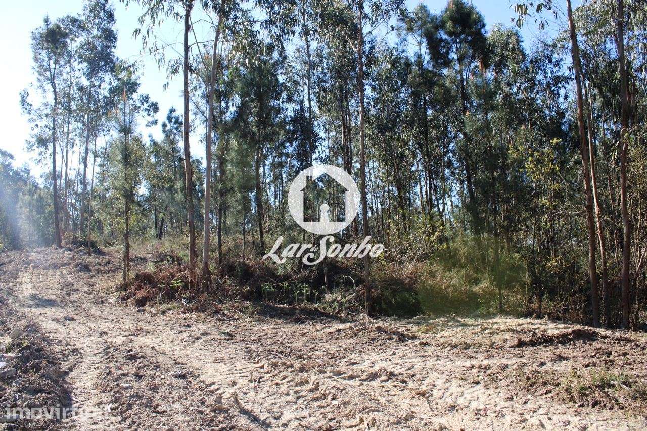 Terreno para construção - Grande imagem: 3/23