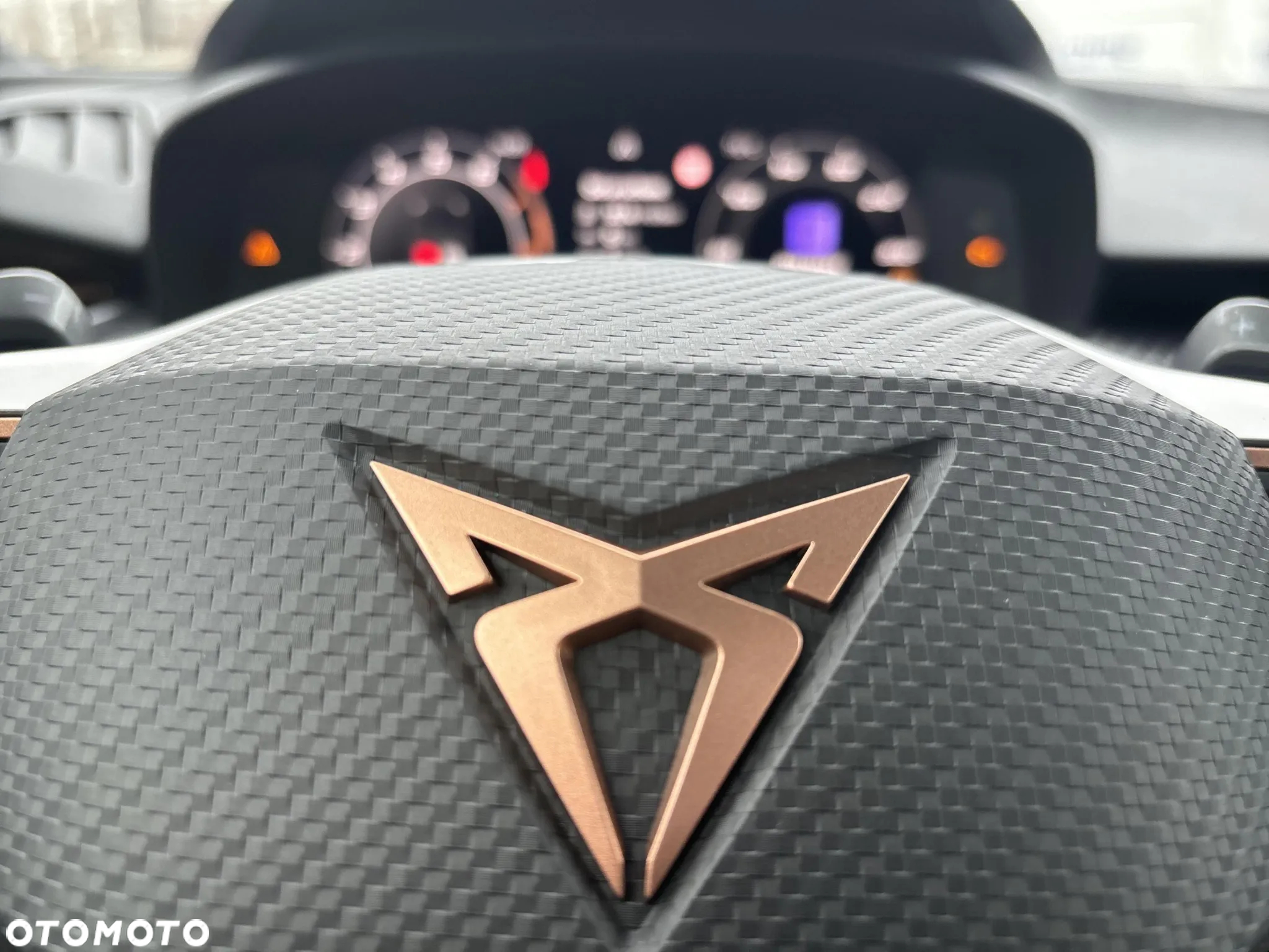 Cupra Terramar 2.0 TSI 4Drive DSG - 18