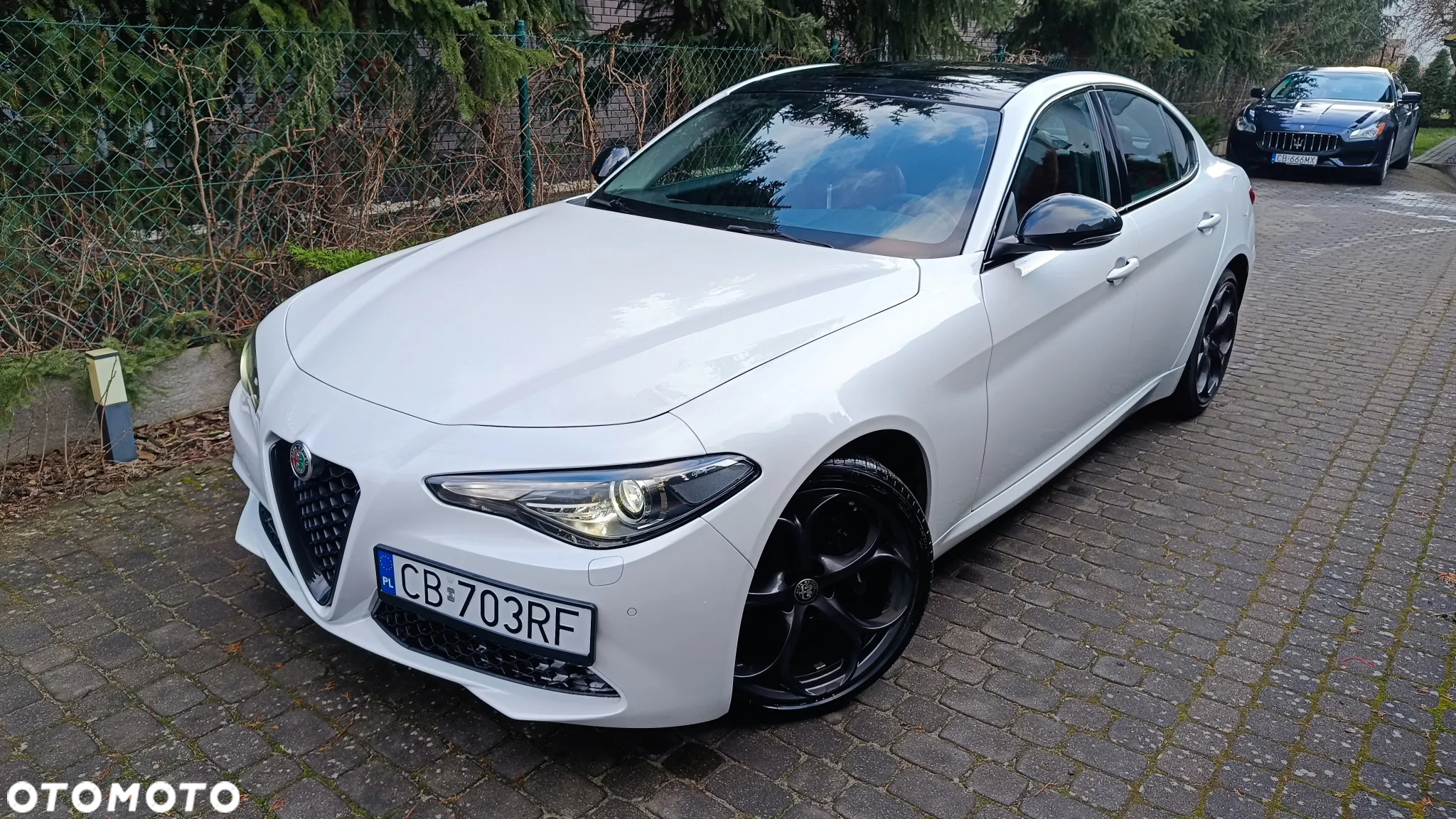 Alfa Romeo Giulia 2.0 Turbo 16V AT8-Q4 Ti - 11