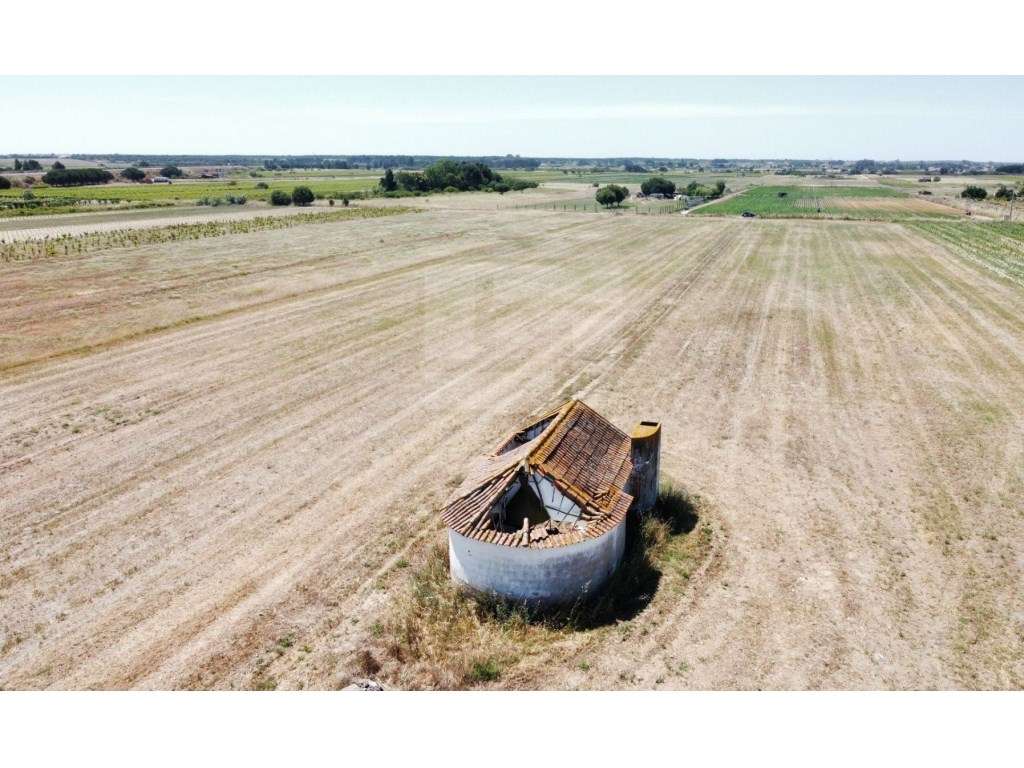 QUINTA EM ALMEIRIM - Grande imagem: 4/22