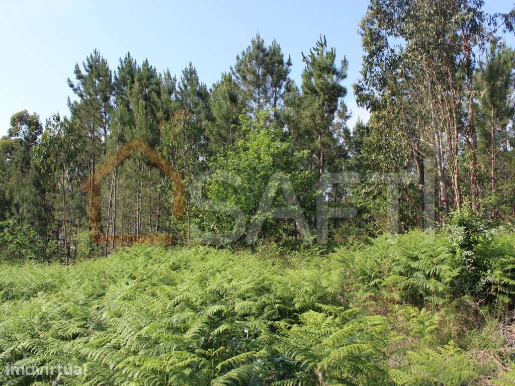 Terreno construtivo - Grande imagem: 3/12
