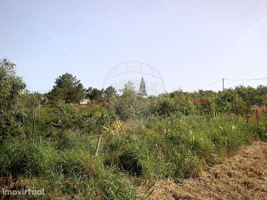 Terreno  para venda - Grande imagem: 5/13