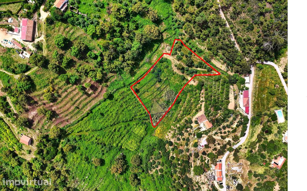 Terreno para agricultura em Alferce - Monchique - Grande imagem: 2/21