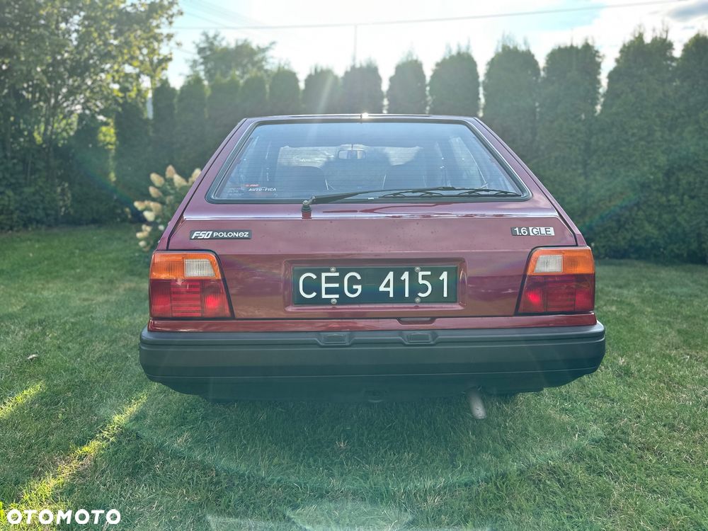 Polonez Caro - 4